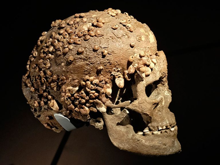 Funeral practices in prehistory
