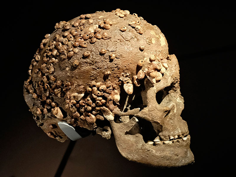 Funeral practices in prehistory