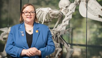 Judith Pargamin takes over as director of the Toulouse Museum
