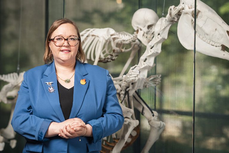 Judith Pargamin takes over as director of the Toulouse Museum
