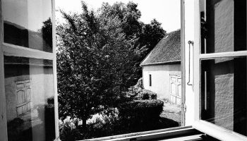 Daido Moriyama’s meditations on photography