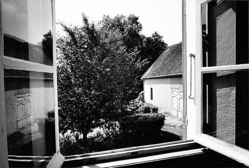 Daido Moriyama's meditations on photography