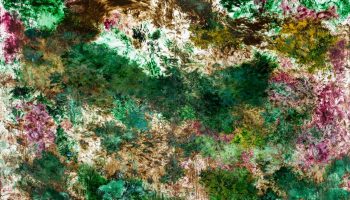 Carlos León and the call of the tactile, at the MUSAC