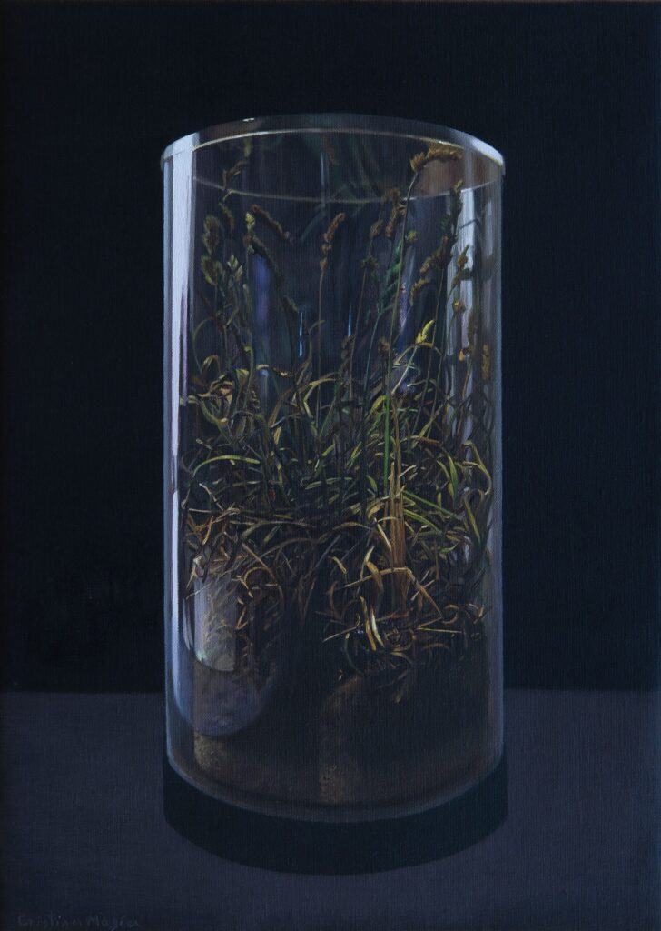 Cristina Megía. Still life, 2026