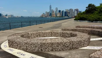 Alan Michelson Places a Massive Oyster Installation on Governors Island