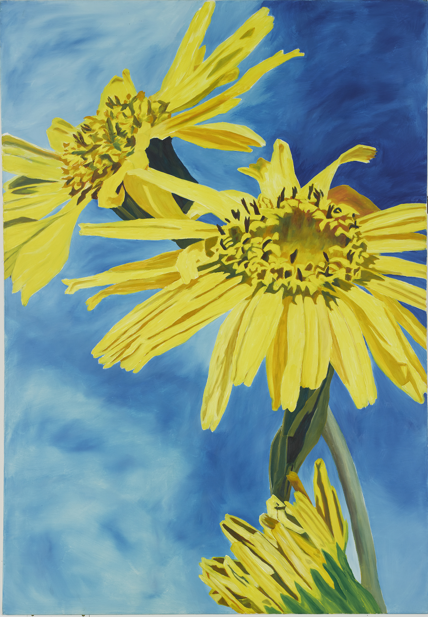 Anne Loch. AL 206, 1987. Private collection