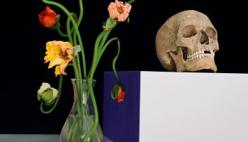 Shirana Shahbazi at Kunstmuseum Luzern, from sediment photography