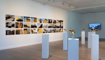 The golden mirages of Hassan Darsi