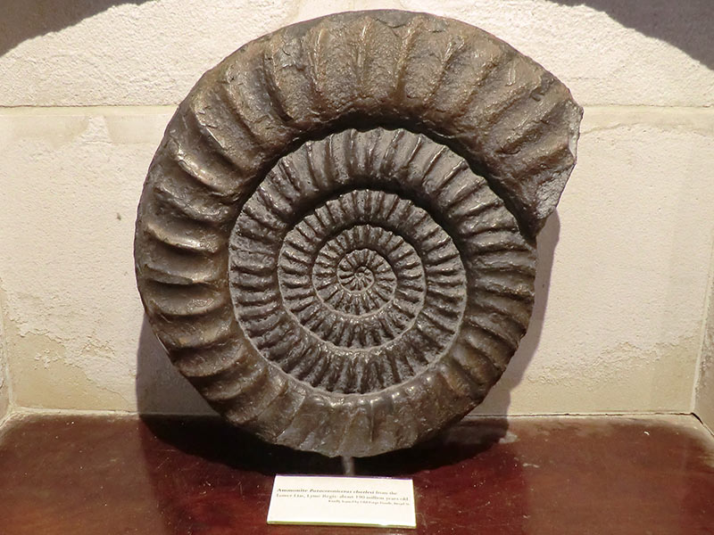 Why a British parliamentarian wants to regulate the export of fossils