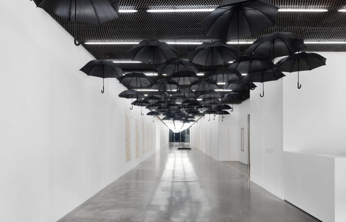 Gabriel Orozco and the flexible circle, in White Cube