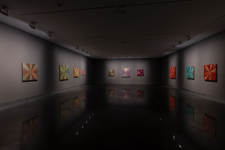 Live and direct: color, perception and experience. Exhibition at the University of Navarra Museum. Anoka Faruqee & David Driscoll