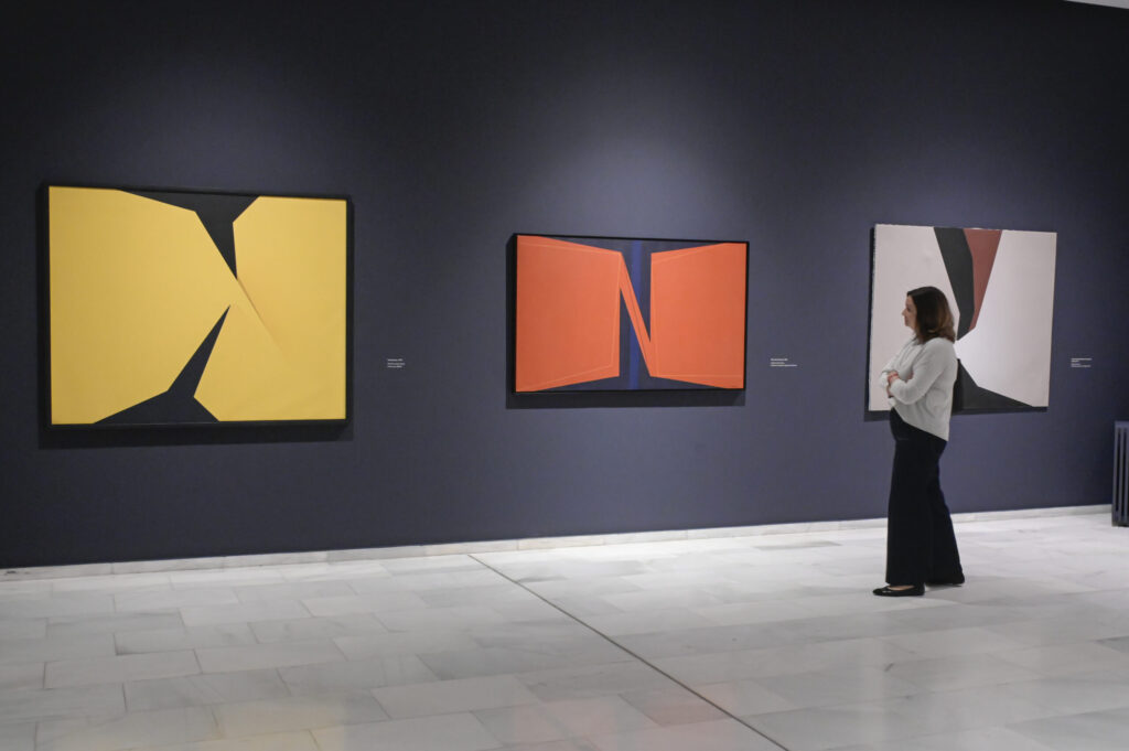 Ximo Michavila. Centennial (1926-2026). Bancaja Foundation, Valencia