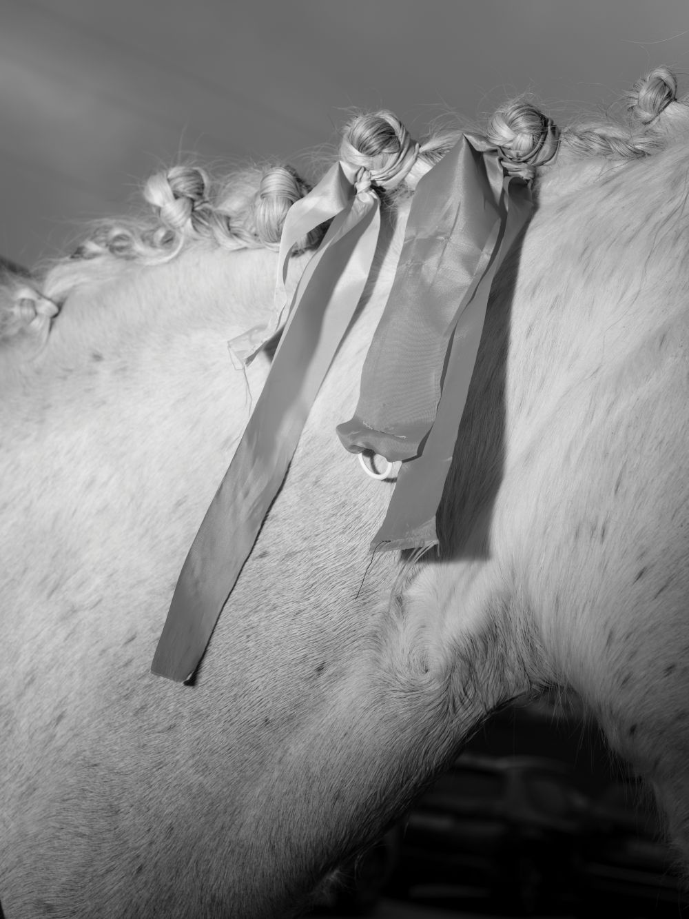 Elena Bulet i Llopis. Ribbon race, 2025. © Elena Bulet i Llopis
