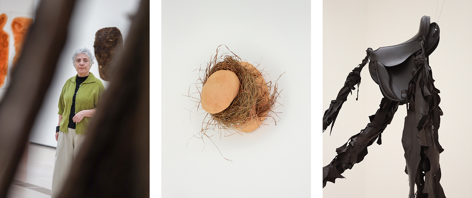 Portrait of Solange Pessoa. Metaflor-Metaflora (2005-2012)(detail) and Arreios (2026) (detail) Photos: Belén de Benito