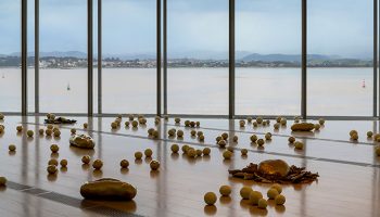 The memory of the territory. Solange Pessoa deploys her creative universe in Santander